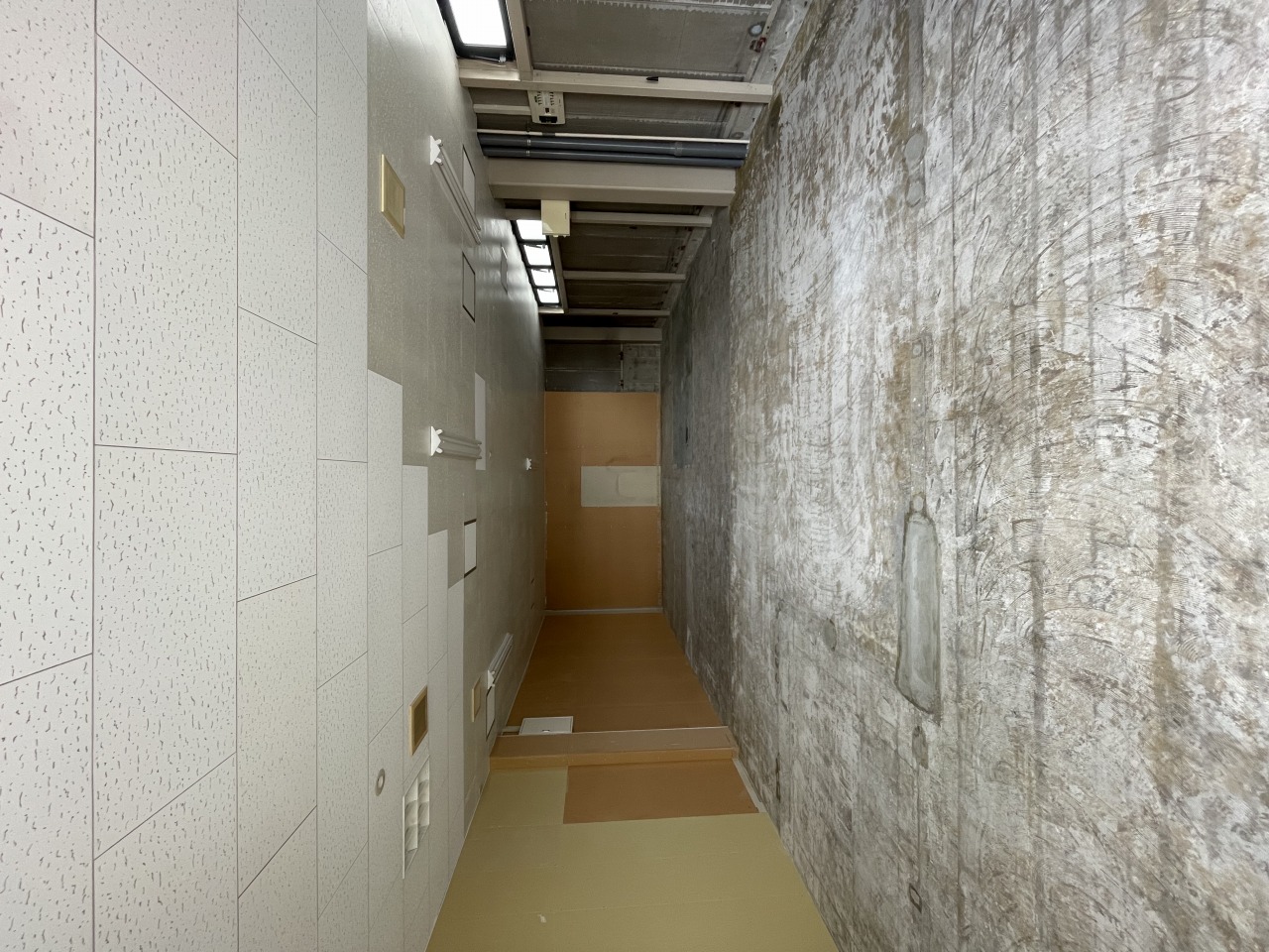 Before画像