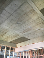 Before画像