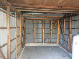 Before画像